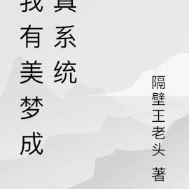 我有美梦成真系统