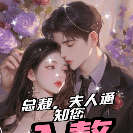总裁,夫人通知您入赘