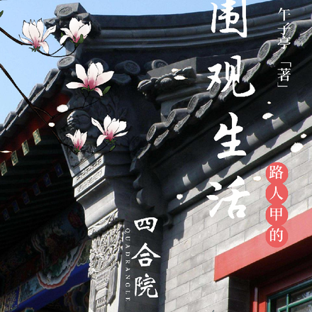 四合院：路人甲的围观生活