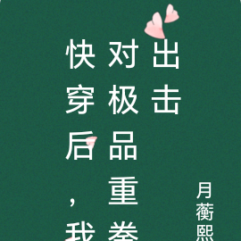 快穿后，我对极品重拳出击