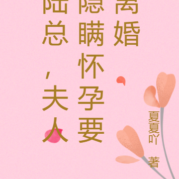 陆总,夫人隐瞒怀孕要离婚