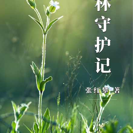 森林守护记