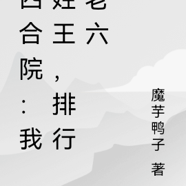 四合院：我姓王，排行老六