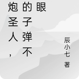 枪炮圣人,我的子弹不长眼