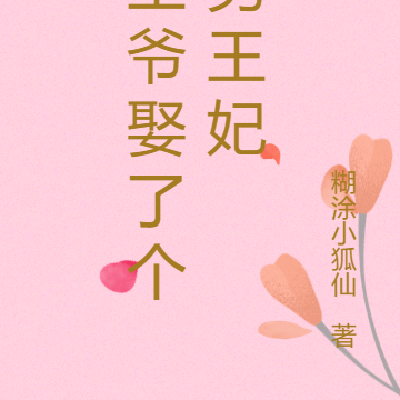 王爷娶了个男王妃