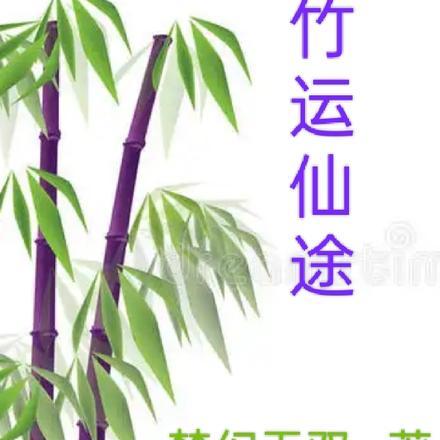 竹运仙途