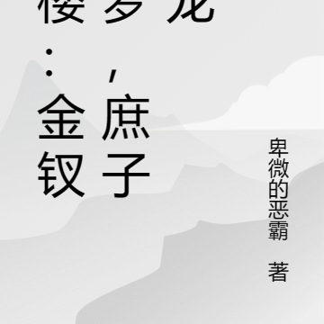 红楼:金钗美梦,庶子成龙