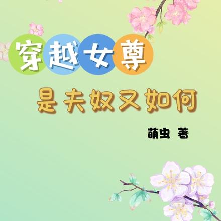 穿越女尊：是夫奴又如何