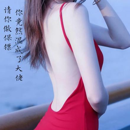 请你做保镖,你竟然混成了大佬