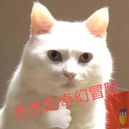 杰杰的奇幻冒险