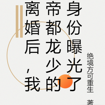 离婚后,我帝都龙少的身份曝光了