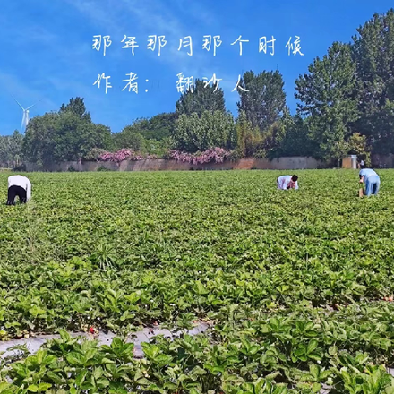 那年那月那个时候
