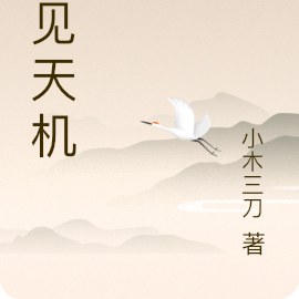 窥见天机