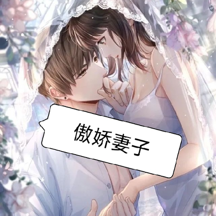 傲娇妻子