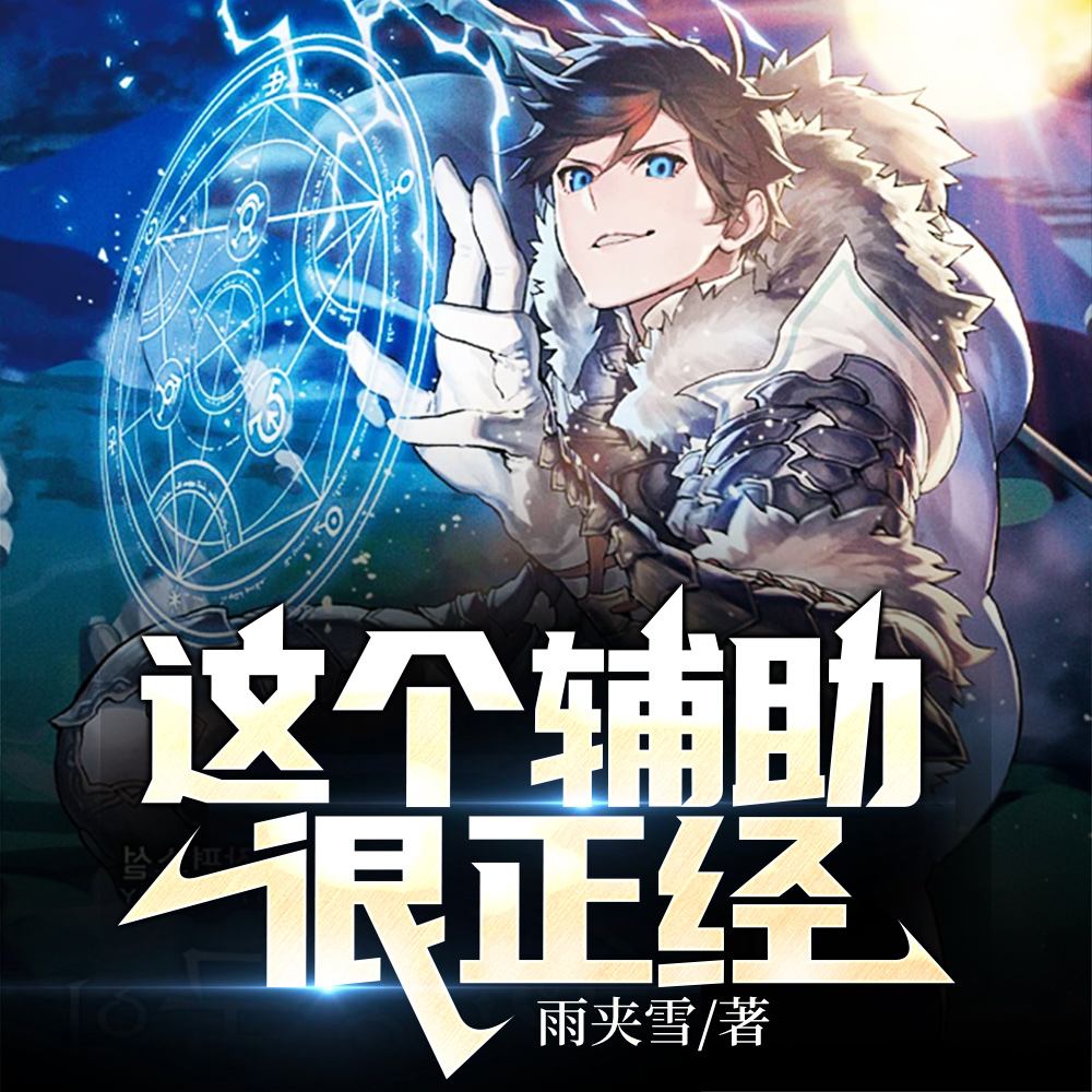 这个辅助很正经