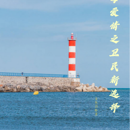 父母爱情之卫民新选择