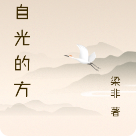 来自光的方向