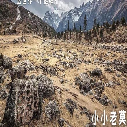 未世，送世界一个避难所