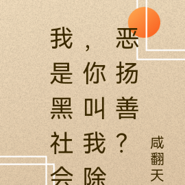 我是黑社会,你叫我除恶扬善?