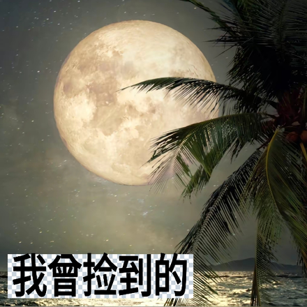 我曾捡到的那束光