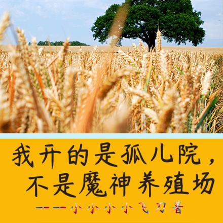 我开的是孤儿院,不是魔神养殖场