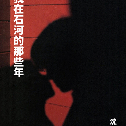 我在石河的那些年