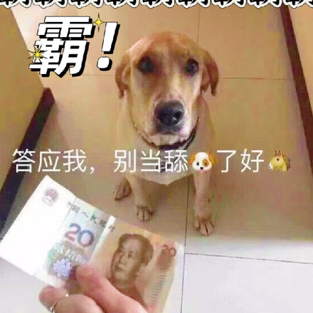 霸霸霸霸霸霸霸霸霸!