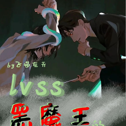 lvss:黑魔王的第八魂器