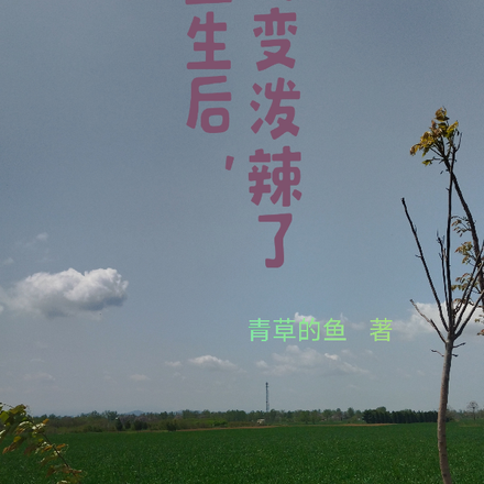 重生后，我变泼辣了