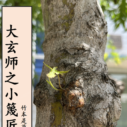 大玄师之小篾匠