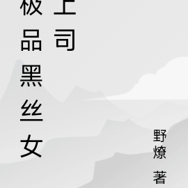 极品黑丝女秘书