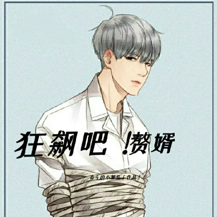 狂飙吧!赘婿
