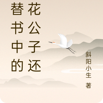 我替书中的花花公子还债