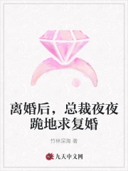 离婚后，总裁夜夜跪地求复婚