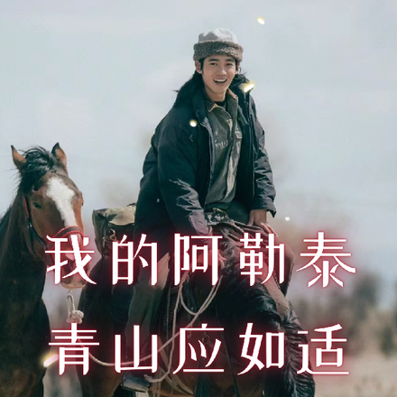 我的阿勒泰:青山应如适