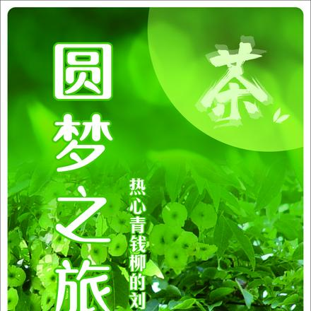 圆梦之旅热心青钱柳的刘教授著