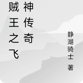 海贼王之飞雷神传奇
