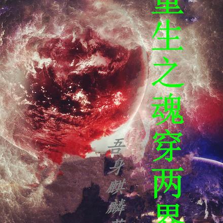 重生之魂穿两界