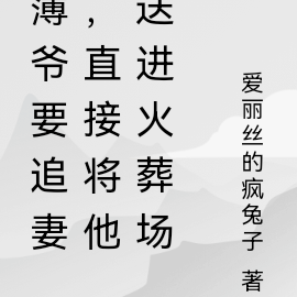 薄爷要追妻,直接将他送进火葬场
