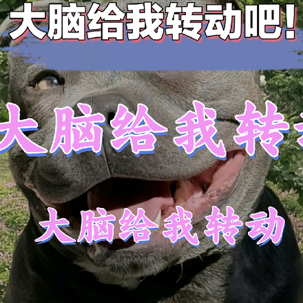 大脑给我转动吧！