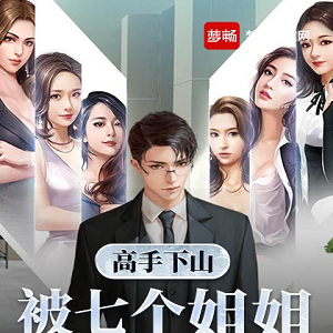 高手下山被七个姐姐宠上天介绍