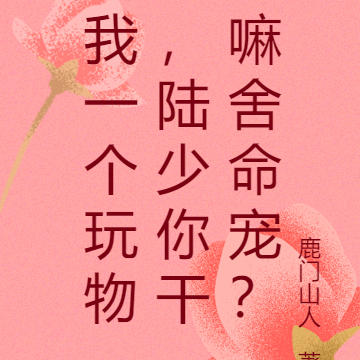 我一个玩物,陆少你干嘛舍命宠?