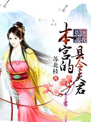 匪我莫属,本宫的县令夫君