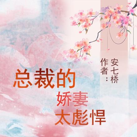 总裁的娇妻太彪悍