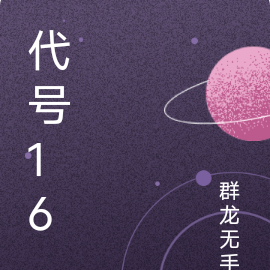 代号16