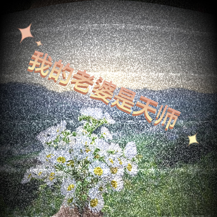 我老婆是天师
