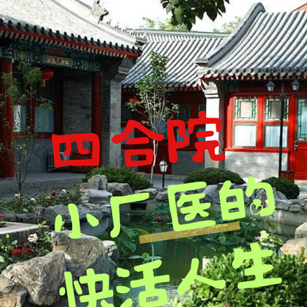 四合院:小厂医的快活人生
