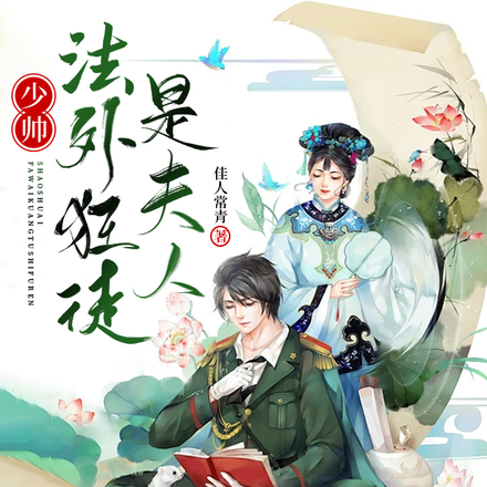 少帅,法外狂徒是夫人!