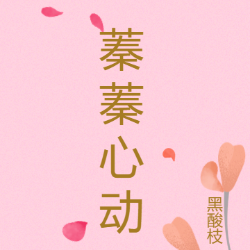 蓁蓁心动