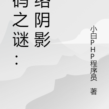 编码之谜：网络阴影